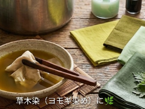 よもぎ生葉🌿30本（30苗）（約200g）以上🌿蓬☆上から15cmの柔らかいヨモギ🌿和ハーブ「ハーブの女王」高いデトックス・冷え性改善、抗酸化作用ビタミンK鉄分クロロフィル☆畑横の人が通らない林