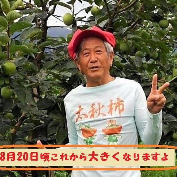 中川 柿園
