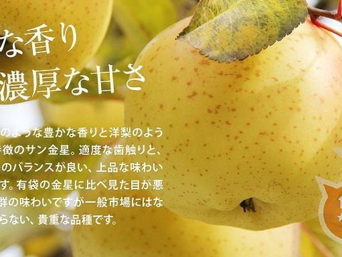 とにかく甘い 希少品種サン金星 2 5kg 青森県産 食べチョク 農家 漁師の産直ネット通販 旬の食材を生産者直送 とにかく甘い 希少品種サン金星 2 5kg 青森県産 食べチョク 農家 漁師の産直ネット通販 旬の食材を生産者直送