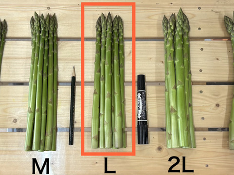 【受賞記念特別価格🎊】【やや太め1kg】那須塩原産アスパラ｜じゅわっと感じる奥深い甘み！｜Lサイズ｜特別価格は5/20まで！