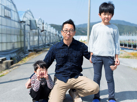 さわやかな甘味が特徴の徳用トマト5kg　宮崎県産
