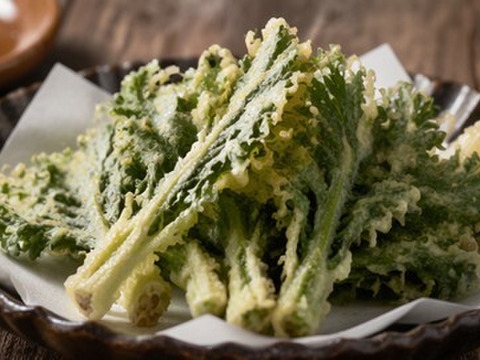 ✨春の香りを食卓に。天ぷらやお浸しで主役になる、力強い春菊【朝どれ】約400g✨