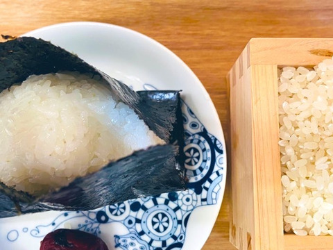 令和4年度新米　湧き水で育った熊本県産ヒノヒカリ(農薬　化学肥料　除草剤不使用)白米5k