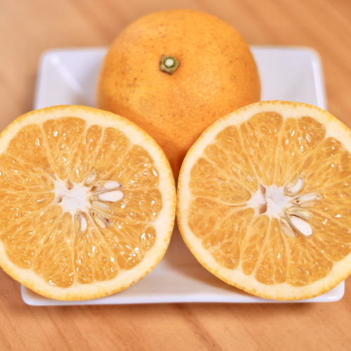 木取り完熟はっさく（自然栽培）（箱重量込４キロ）