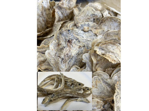 テレビ放送されました❗ZACOせんべい　５種セット　未利用魚含む