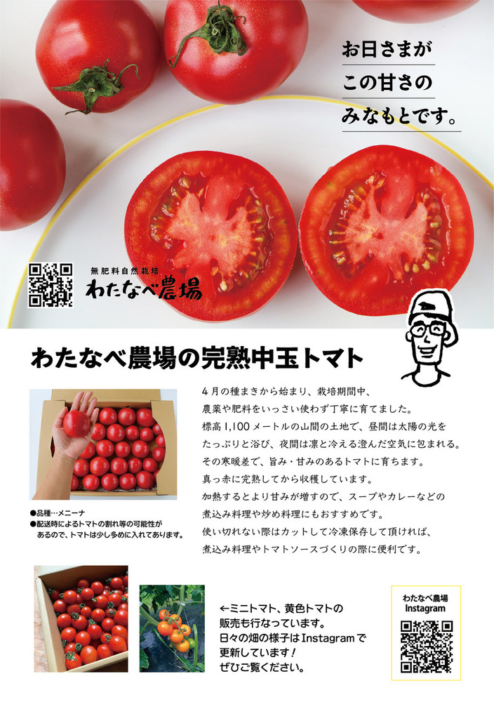 完熟とまと Hanako🐶さんの投稿｜食べチョク｜産地直送(産直)お取り寄せ通販