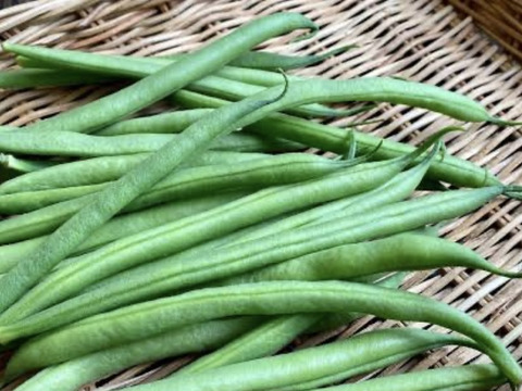 さやいんげん　１キロ