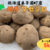 北海道の越冬ジャガイモ！『ワセシロ』(5kg)