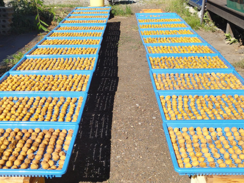 農薬化成肥料除草剤不使用で自然塩のみで仕上げた昔ながらの酸っぱい梅干し400g 2袋です。