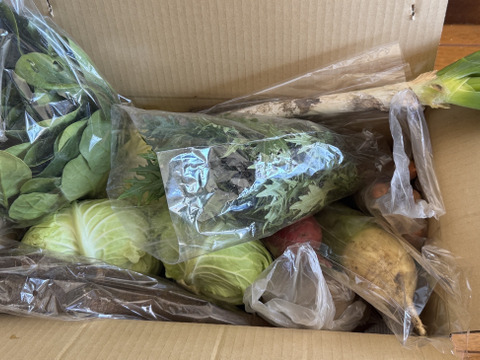 寒暖差が美味しさの秘訣！高原野菜セット【M: 2〜3人用】