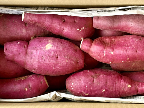 訳ありでもホックリサラリ！新品種「ゆきこまち」色々なサイズ入り  3キロ箱