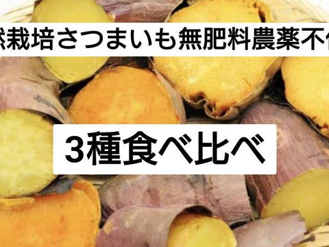 自然栽培★希少さつまいも食べ比べ3種！5キロ　固定種 在来種専門農家（ 淡路島産Awaji369farmからお届け6000円）農薬不使用　無肥料栽培　内容【安納いもマロンゴールド紅はるか】