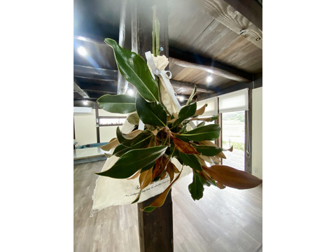 リトルジェムとケイパレスのスラッグ（ケープ付き）産地直送！ドライフラワーとして長く楽しめます。シンプルながらも上質な雰囲気で、リビングや玄関、店舗のインテリアにおすすめ。