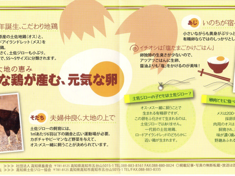 【大寒卵】★平飼いで育てた有精卵12個入り★
小振りながらも濃厚な土佐ジロー卵 　仁淀ブルーの町いの町からお届け