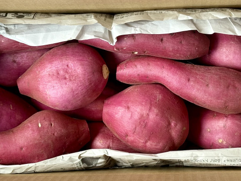 訳ありでもホックリサラリ！新品種「ゆきこまち」色々なサイズ入り  3キロ箱