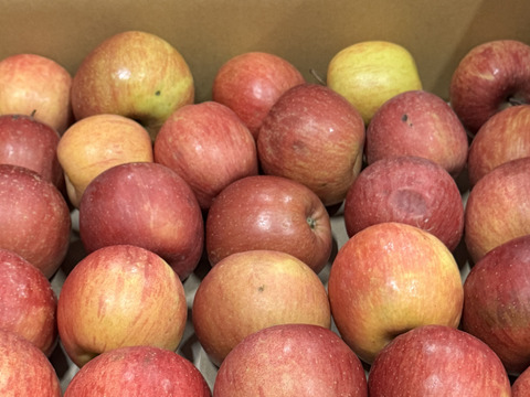 ★残りわずか★葉とらずサンふじ🍎訳ありバラ詰め 約５Kg　青森県産