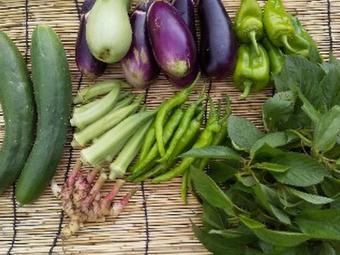 【クール便、野菜たち】自然農の畑から、不耕起草生　草とともに台地の畑で27年の積み重ね、種とり、農薬肥料不使用）