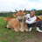 うしのくさ(二本松牧場　牛の草） さんのサムネイル