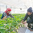 ogatafarm さんのサムネイル