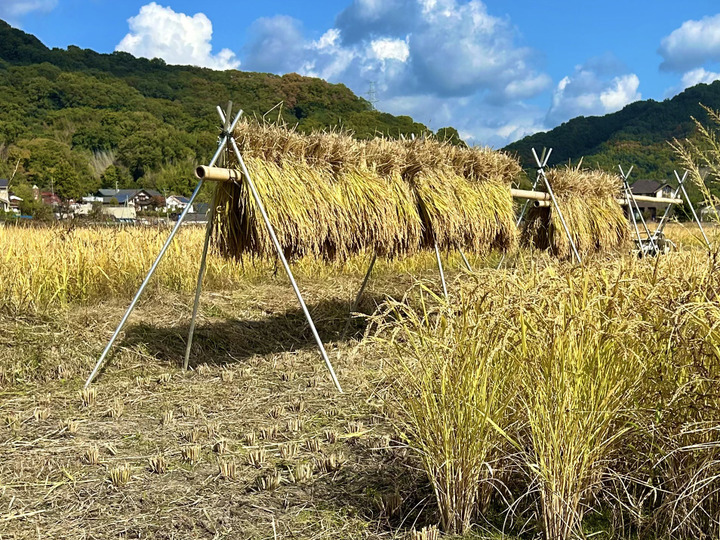 生産者のこだわり