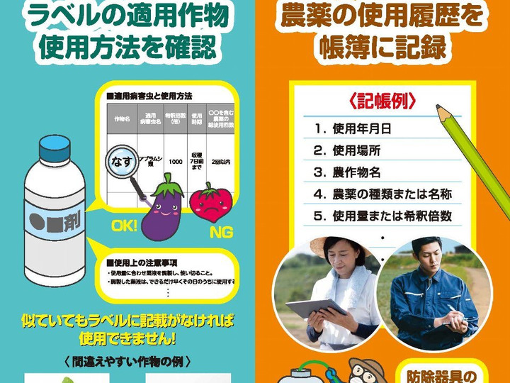 安全な種無し巨峰