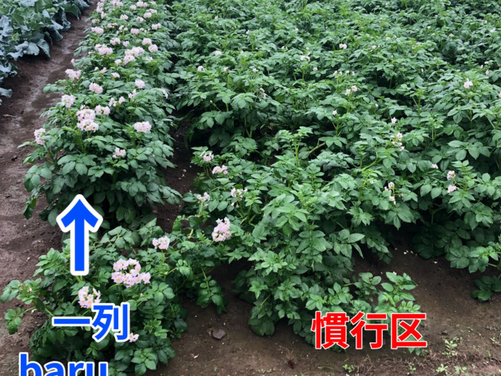 生産者のこだわり