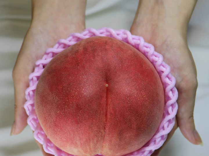 生産者のこだわり