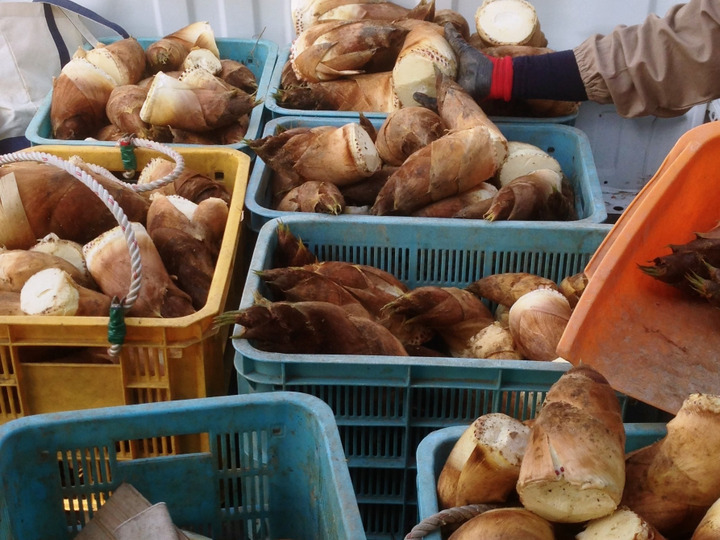 【★安心の定価販売★】 2kg）正真正銘の木津川市山城町産筍！朝堀りたけのこ！※予約 野菜