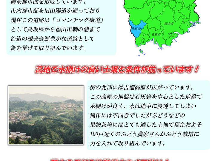 生産者のこだわり