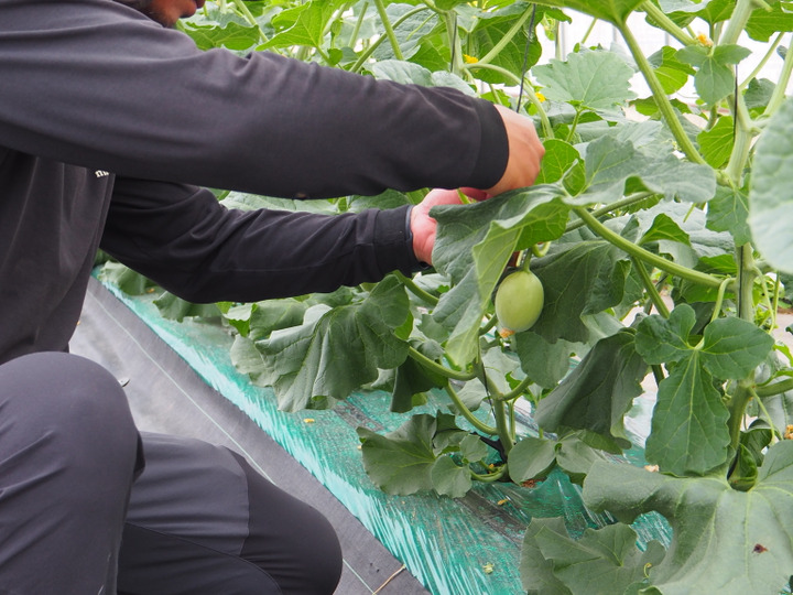 生産者のこだわり