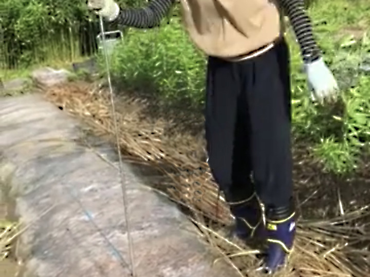太陽熱養生処理