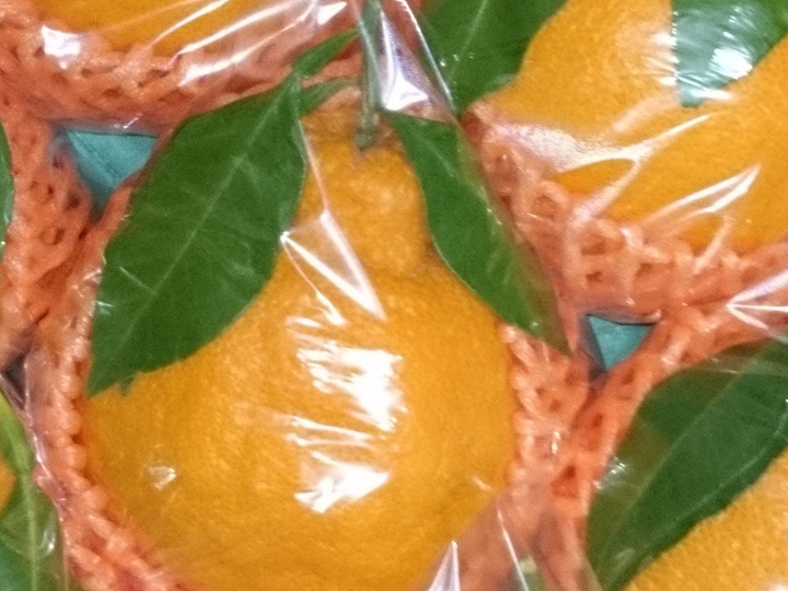 生産者のこだわり