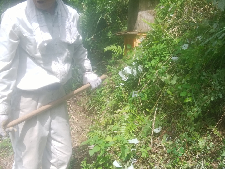 全園・全品種にて 栽培期間中、農薬・化学肥料・除草剤不使用