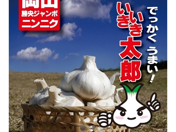 2024激安通販 ポリフェノール20倍⭐️免疫力アップ❗️ジャンボ黒にんにく 野菜