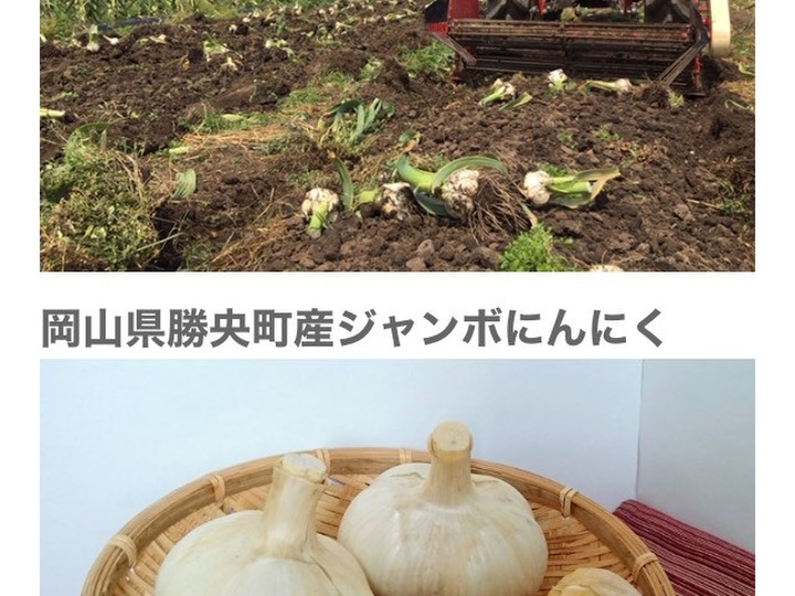 1年を通してこだわり野菜