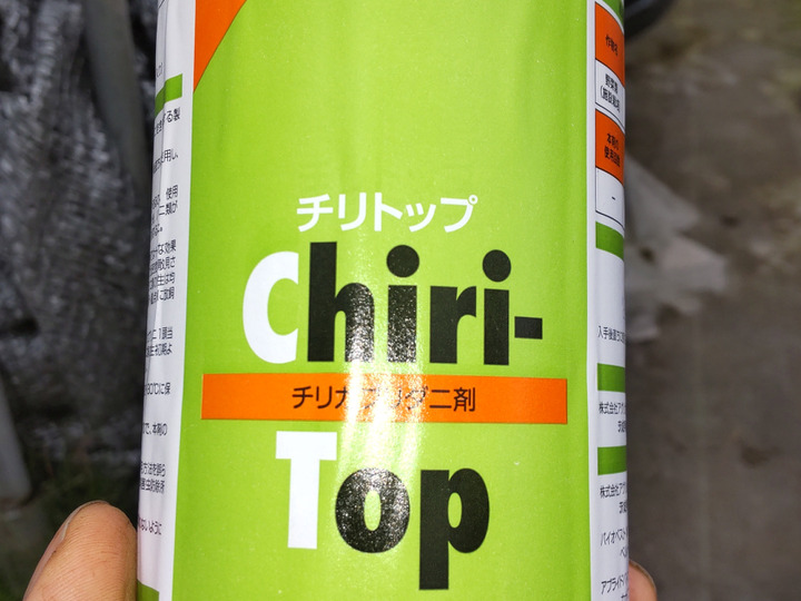 完熟いちご（恋みのり）280g4パック（DXパック） 酸味少ない