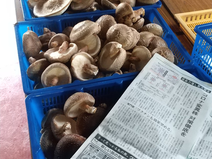 生産者のこだわり