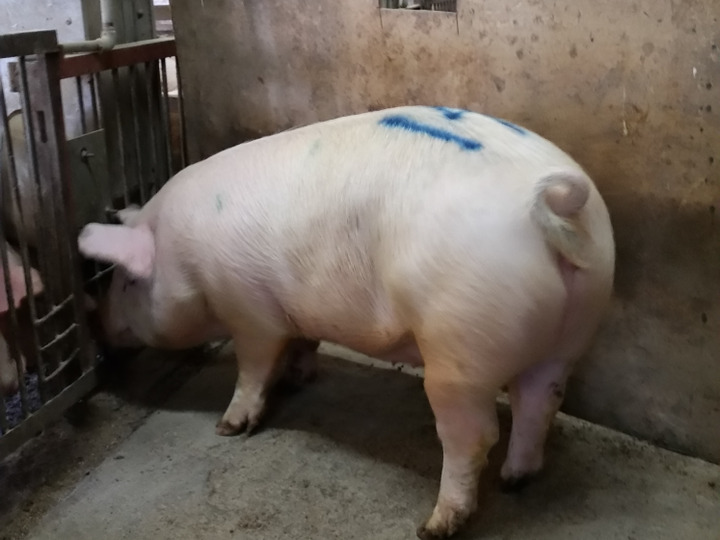 生産者のこだわり