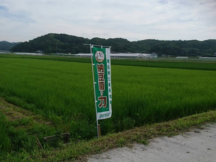生産者のこだわり