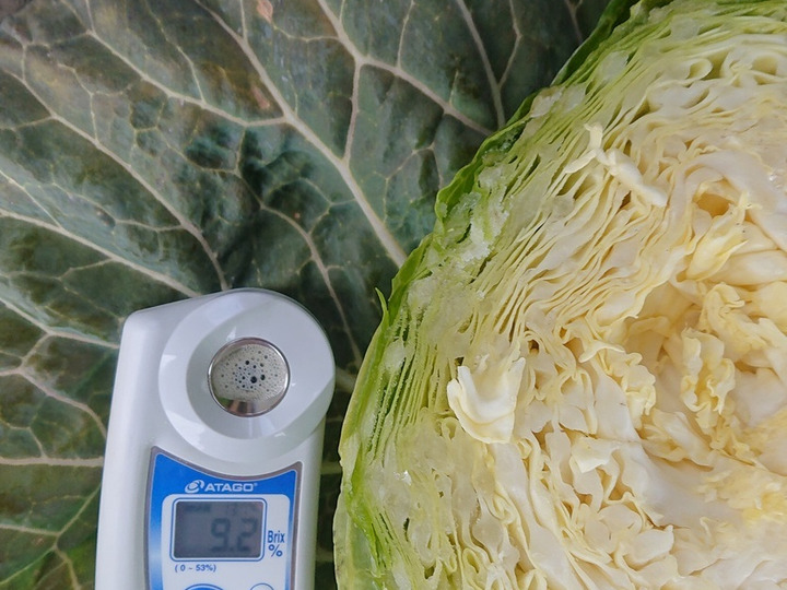 松永園へのレビュー・商品：東京都｜食べチョク｜産地直送(産直)お