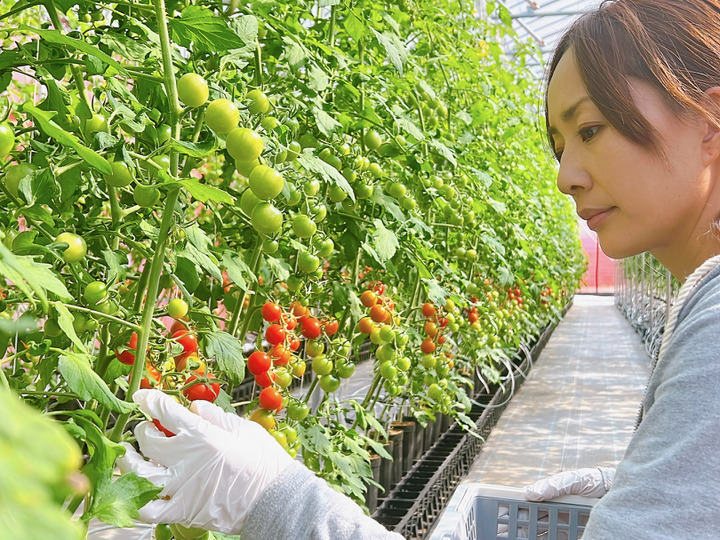 生産者のこだわり
