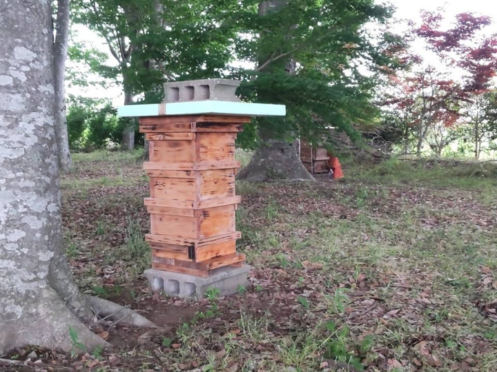 生産者のこだわり