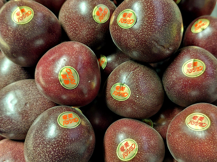 規格外】島たんかん🍊農薬不使用栽培○10キロ+α‪○美味しさは‬