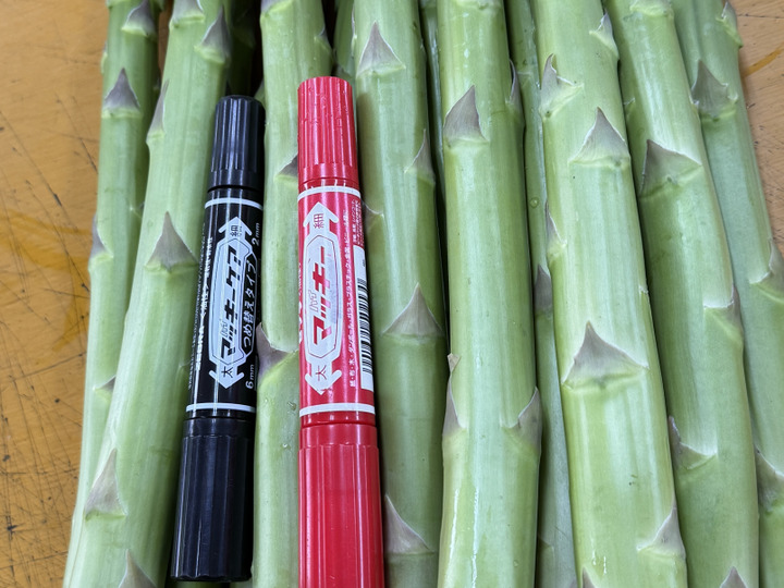 限定‼️コシヒカリ10Kg緊急放出⭐️令和5年度栃木県産:栃木県産 限定‼️コシヒカリ10Kg緊急放出⭐️令和5年度栃木県産:栃木県産
