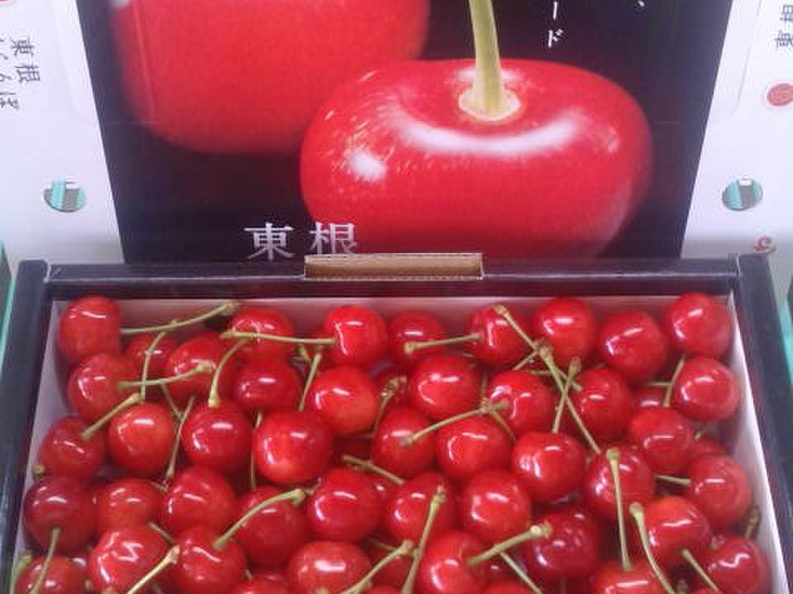 生産者のこだわり