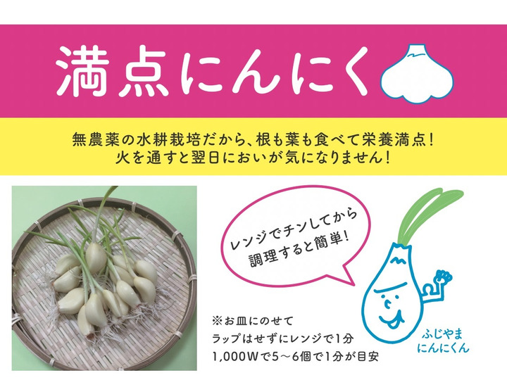 根も葉もまるごと召し上がれ♪「満点にんにく」30本セット(発芽