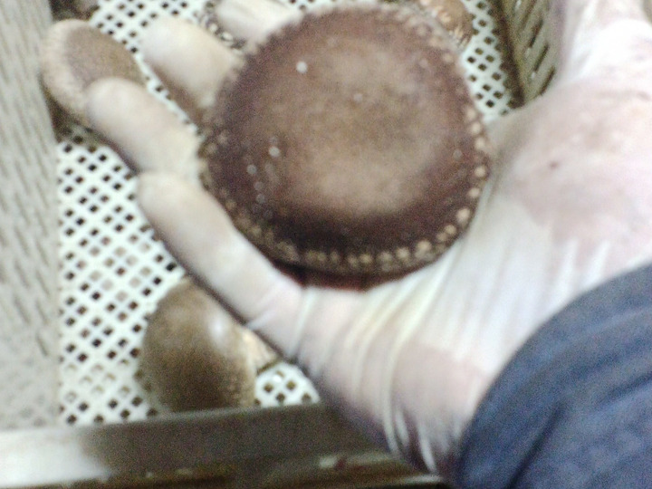 生産者のこだわり