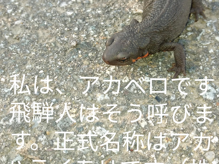 生産者のこだわり