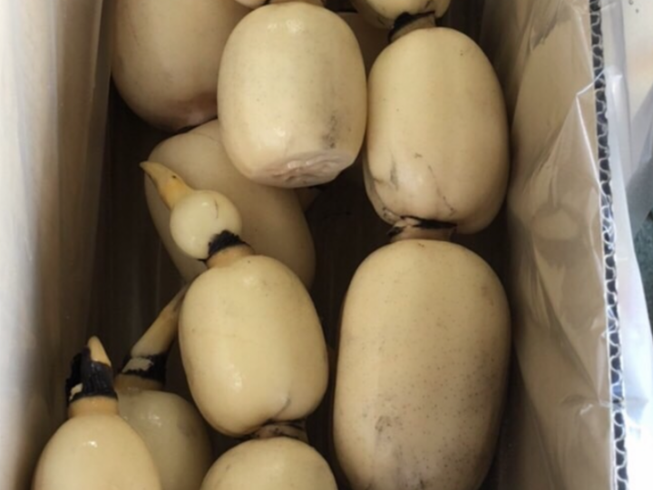生産者のこだわり