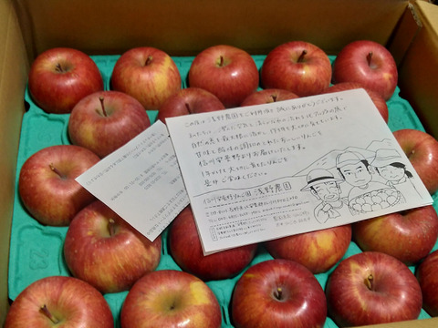 りんごの代表格！ サンふじ 10kg(46玉) 自家用(訳あり品) 子供でも丸かじり出来る小玉サイズ 信州安曇野産りんご お裾分けにも